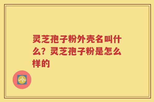 灵芝孢子粉外壳名叫什么？灵芝孢子粉是怎么样的