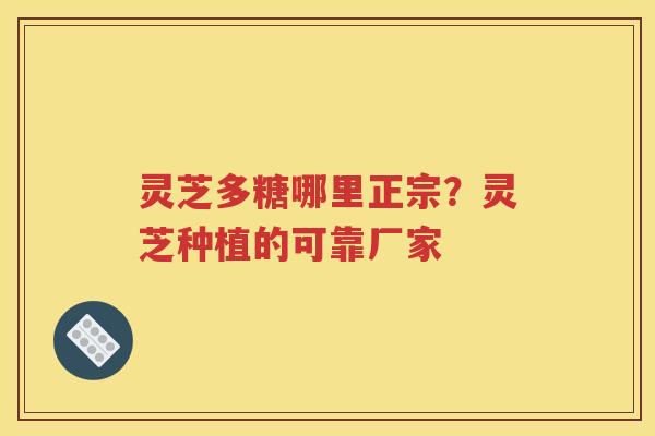 灵芝多糖哪里正宗？灵芝种植的可靠厂家