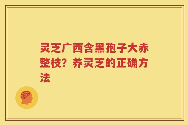 灵芝广西含黑孢子大赤整枝？养灵芝的正确方法