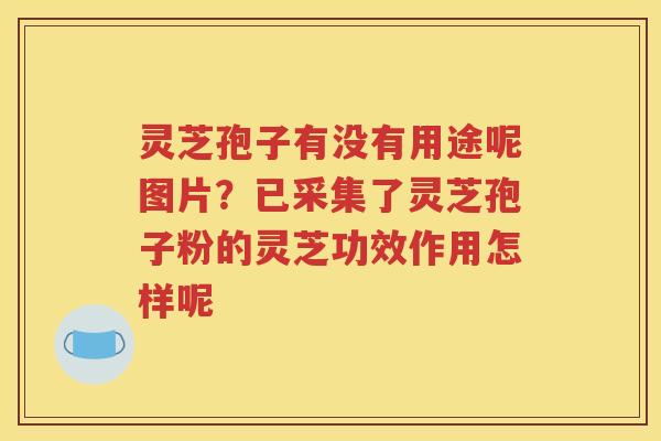 灵芝孢子有没有用途呢图片？已采集了灵芝孢子粉的灵芝功效作用怎样呢