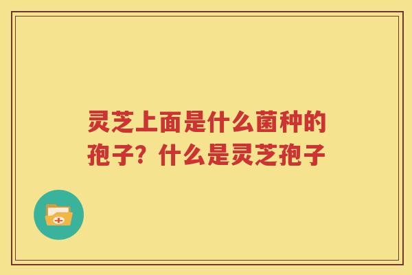 灵芝上面是什么菌种的孢子？什么是灵芝孢子