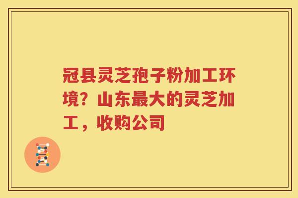 冠县灵芝孢子粉加工环境？山东最大的灵芝加工，收购公司