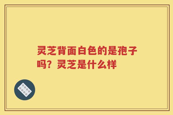 灵芝背面白色的是孢子吗？灵芝是什么样