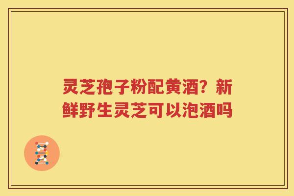 灵芝孢子粉配黄酒？新鲜野生灵芝可以泡酒吗