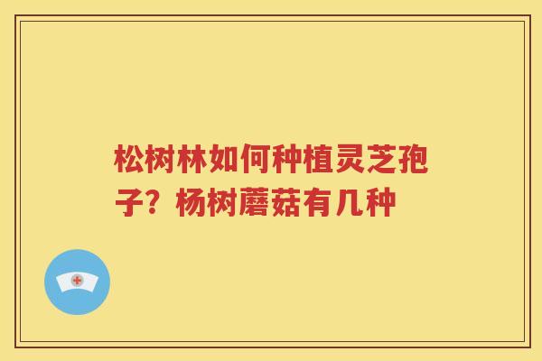 松树林如何种植灵芝孢子？杨树蘑菇有几种