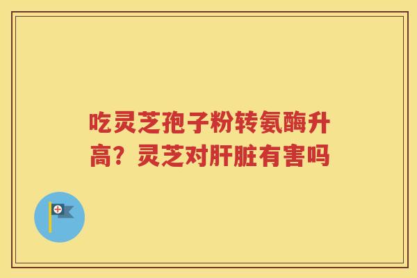吃灵芝孢子粉转氨酶升高？灵芝对肝脏有害吗