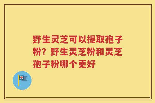 野生灵芝可以提取孢子粉？野生灵芝粉和灵芝孢子粉哪个更好