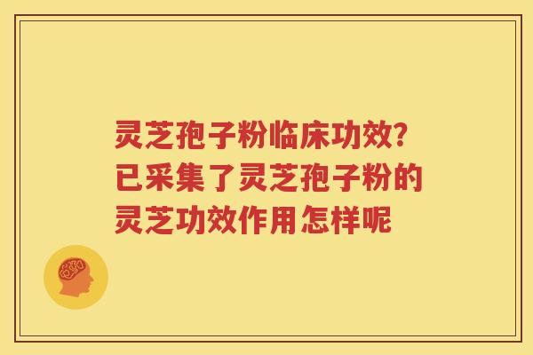 灵芝孢子粉临床功效？已采集了灵芝孢子粉的灵芝功效作用怎样呢