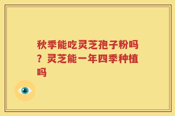 秋季能吃灵芝孢子粉吗？灵芝能一年四季种植吗