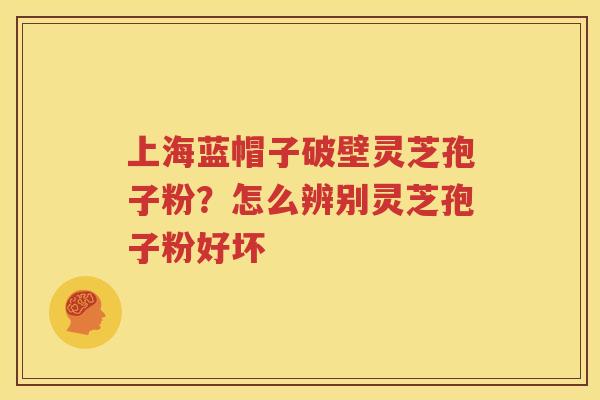 上海蓝帽子破壁灵芝孢子粉？怎么辨别灵芝孢子粉好坏
