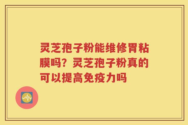 灵芝孢子粉能维修胃粘膜吗？灵芝孢子粉真的可以提高免疫力吗