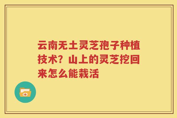 云南无土灵芝孢子种植技术？山上的灵芝挖回来怎么能栽活