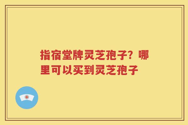 指宿堂牌灵芝孢子？哪里可以买到灵芝孢子