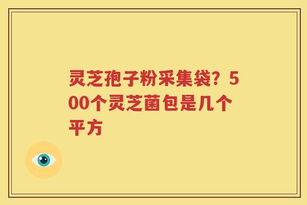 灵芝孢子粉采集袋？500个灵芝菌包是几个平方