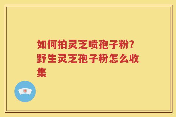 如何拍灵芝喷孢子粉？野生灵芝孢子粉怎么收集