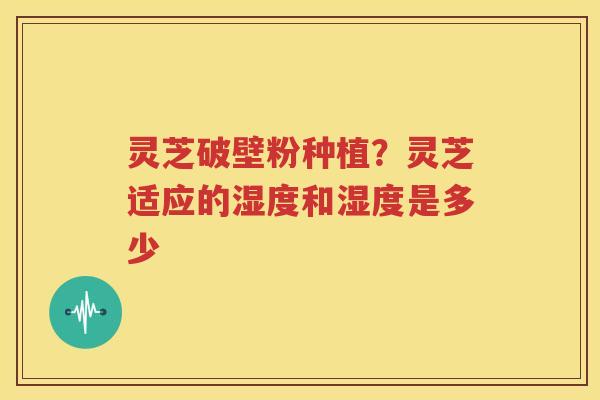 灵芝破壁粉种植？灵芝适应的湿度和湿度是多少
