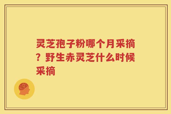 灵芝孢子粉哪个月采摘？野生赤灵芝什么时候采摘