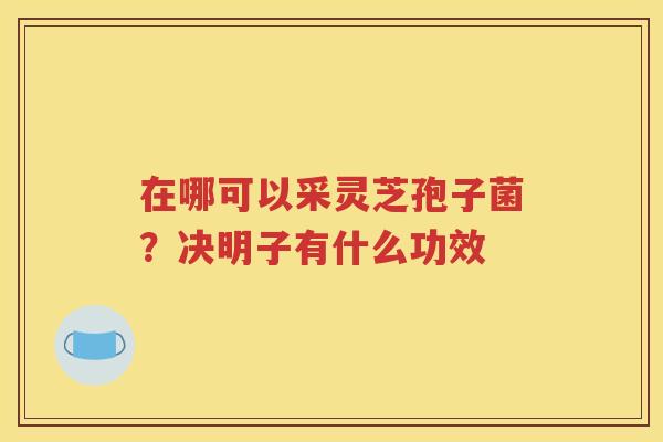 在哪可以采灵芝孢子菌？决明子有什么功效