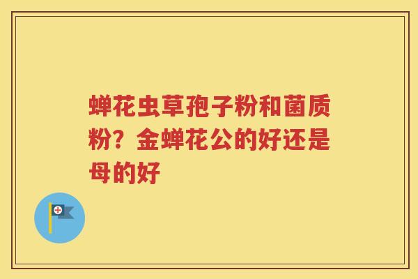 蝉花虫草孢子粉和菌质粉？金蝉花公的好还是母的好