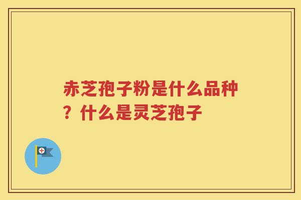 赤芝孢子粉是什么品种？什么是灵芝孢子