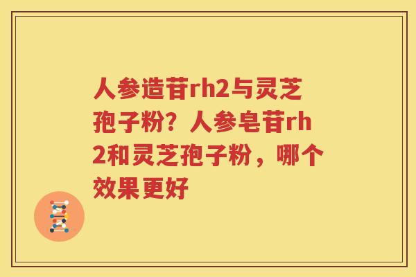 人参造苷rh2与灵芝孢子粉？人参皂苷rh2和灵芝孢子粉，哪个效果更好