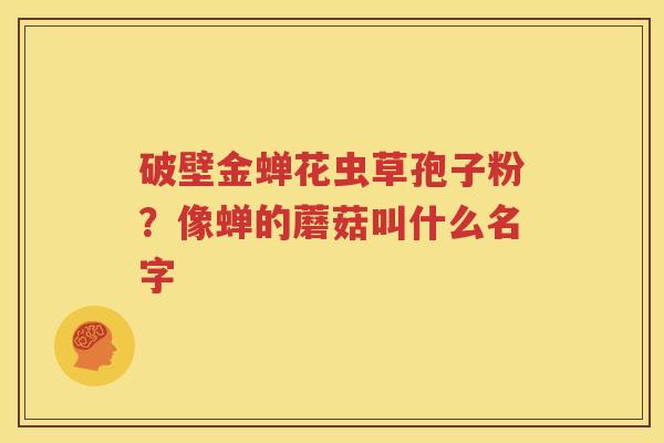 破壁金蝉花虫草孢子粉？像蝉的蘑菇叫什么名字