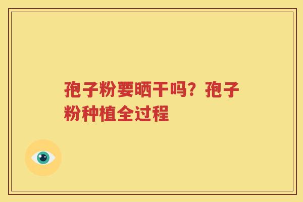 孢子粉要晒干吗？孢子粉种植全过程