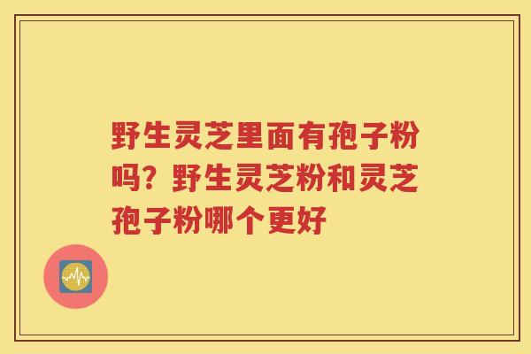 野生灵芝里面有孢子粉吗？野生灵芝粉和灵芝孢子粉哪个更好