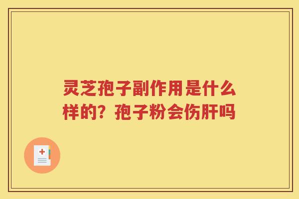 灵芝孢子副作用是什么样的？孢子粉会伤肝吗