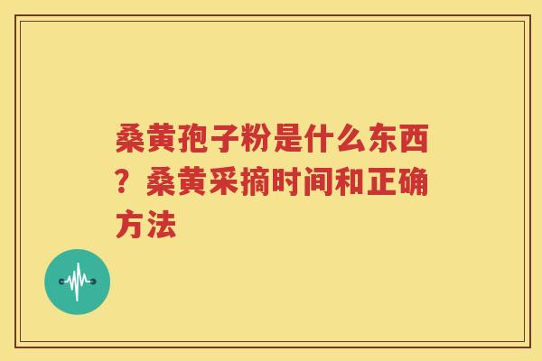 桑黄孢子粉是什么东西？桑黄采摘时间和正确方法