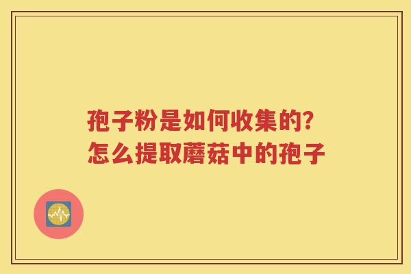 孢子粉是如何收集的？怎么提取蘑菇中的孢子