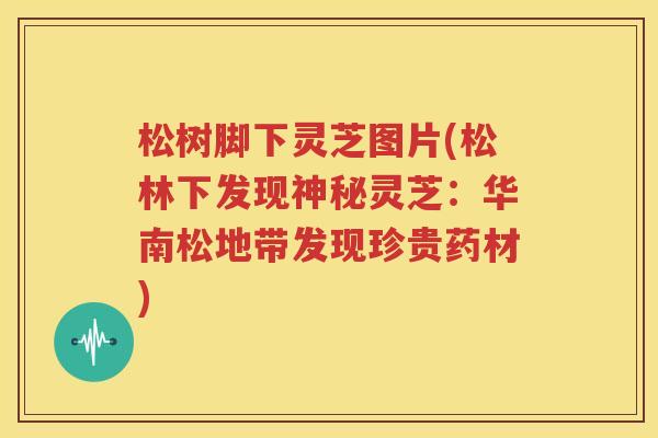 松树脚下灵芝图片(松林下发现神秘灵芝：华南松地带发现珍贵药材)