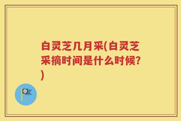 白灵芝几月采(白灵芝采摘时间是什么时候？)