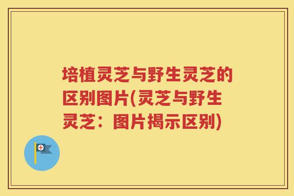 培植灵芝与野生灵芝的区别图片(灵芝与野生灵芝：图片揭示区别)