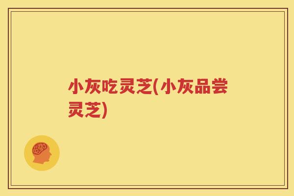 小灰吃灵芝(小灰品尝灵芝)