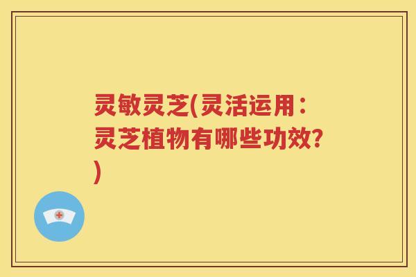 灵敏灵芝(灵活运用：灵芝植物有哪些功效？)