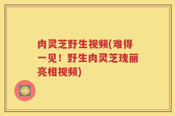 肉灵芝野生视频(难得一见！野生肉灵芝瑰丽亮相视频)