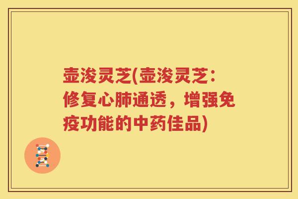 壶浚灵芝(壶浚灵芝：修复心肺通透，增强免疫功能的中药佳品)