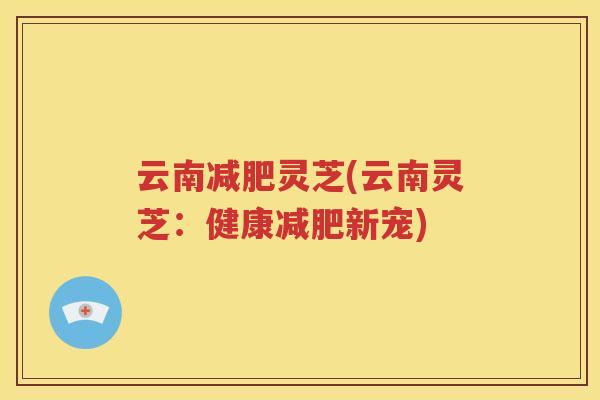 云南减肥灵芝(云南灵芝：健康减肥新宠)