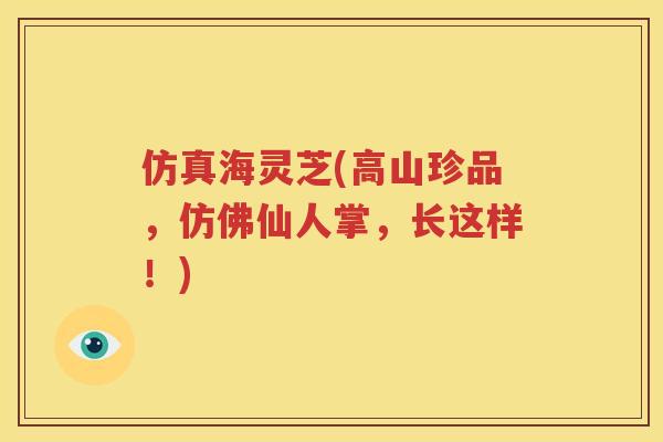 仿真海灵芝(高山珍品，仿佛仙人掌，长这样！)
