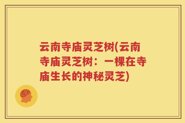 云南寺庙灵芝树(云南寺庙灵芝树：一棵在寺庙生长的神秘灵芝)