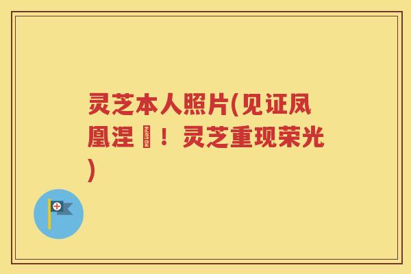 灵芝本人照片(见证凤凰涅槃！灵芝重现荣光)