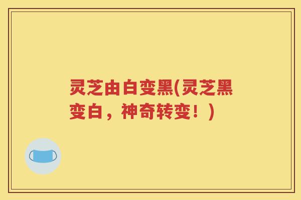 灵芝由白变黑(灵芝黑变白，神奇转变！)