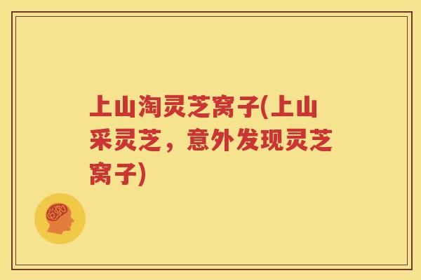上山淘灵芝窝子(上山采灵芝，意外发现灵芝窝子)