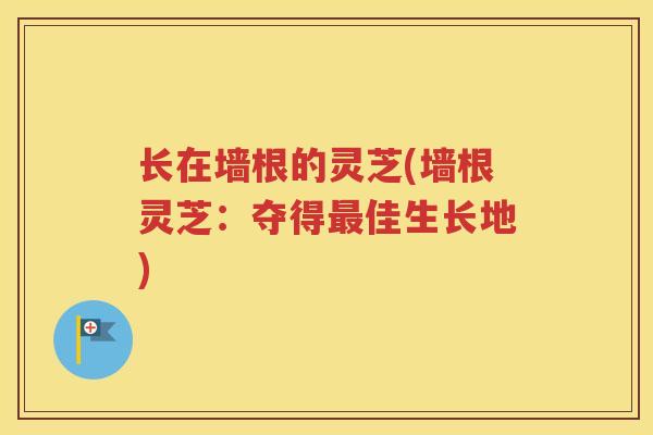 长在墙根的灵芝(墙根灵芝：夺得最佳生长地)