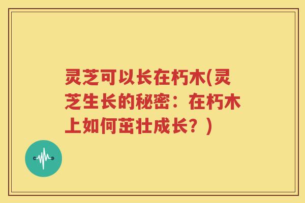 灵芝可以长在朽木(灵芝生长的秘密：在朽木上如何茁壮成长？)