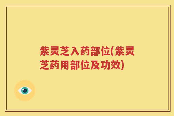 紫灵芝入药部位(紫灵芝药用部位及功效)