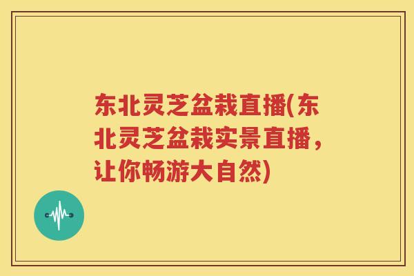东北灵芝盆栽直播(东北灵芝盆栽实景直播，让你畅游大自然)