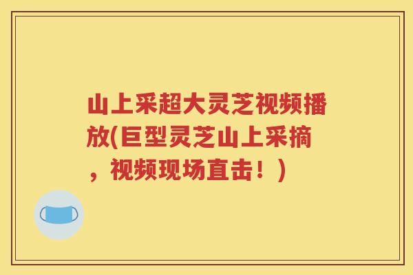 山上采超大灵芝视频播放(巨型灵芝山上采摘，视频现场直击！)