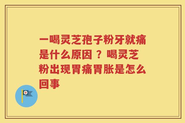 一喝灵芝孢子粉牙就痛是什么原因 ？喝灵芝粉出现胃痛胃胀是怎么回事